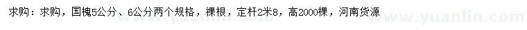 求購5、6公分國槐