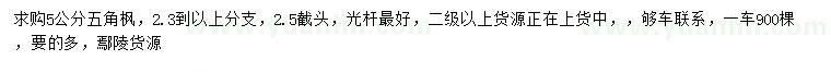 求購5公分五角楓