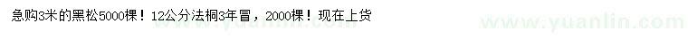 求購(gòu)3米黑松、12公分法桐