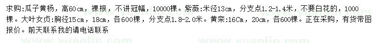 求購瓜子黃楊、紫薇、大葉女貞等