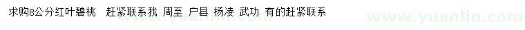 求購8公分紅葉碧桃