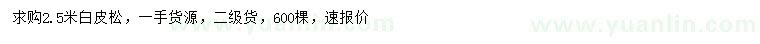 求購(gòu)2.5米白皮松