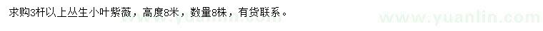 求購高8米叢生小葉紫薇