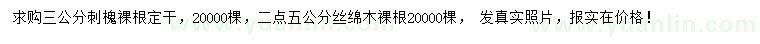 求購(gòu)3公分刺槐、2.5公分絲棉木