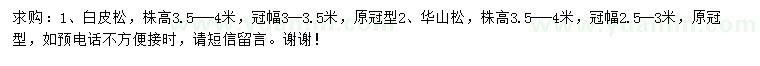 求購高3.5-4米白皮松、華山松