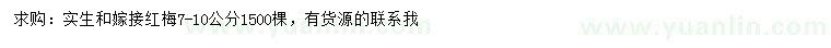 求購7-10公分實生和嫁接紅梅