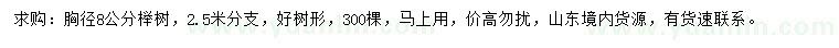 求購(gòu)胸徑、7、8公分櫸樹(shù)