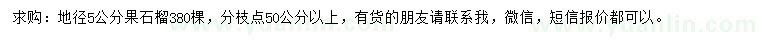 求購(gòu)地徑5公分果石榴