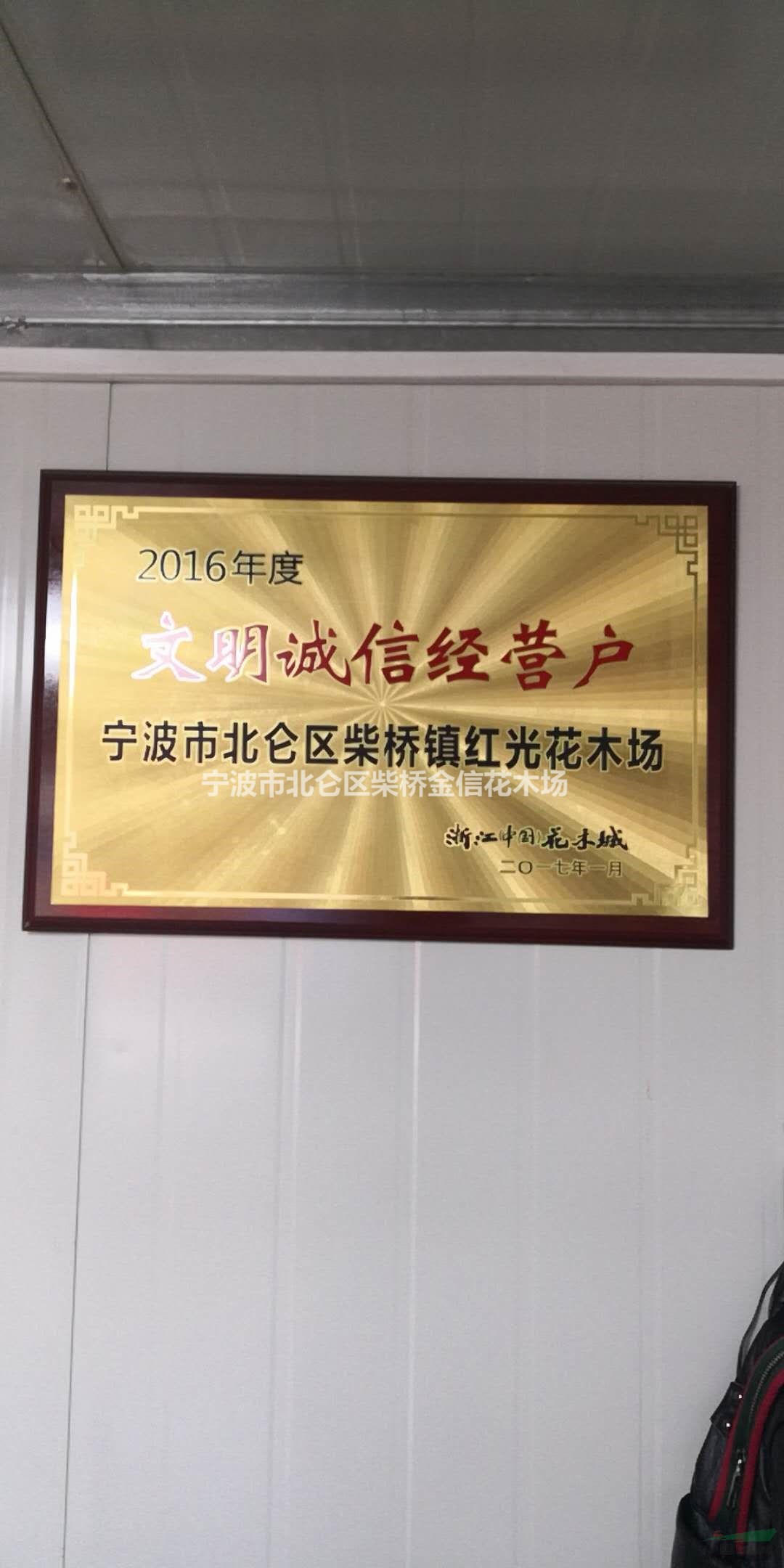 專(zhuān)業(yè)配送金邊黃楊，大葉黃楊，紅葉石楠，紅花繼木等綠化工程苗木