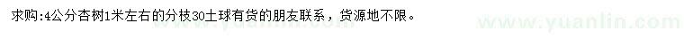 求購4公分杏樹