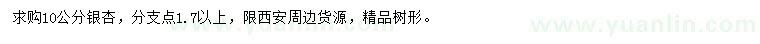 求購10公分銀杏