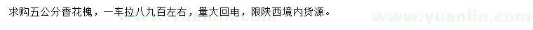 求購5公分香花槐