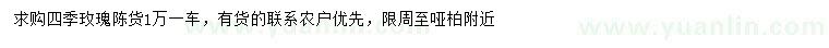 求購四季玫瑰