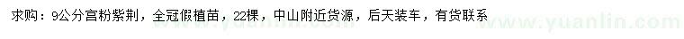 求購9公分宮粉紫荊