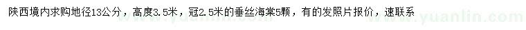求購地徑13公分垂絲海棠