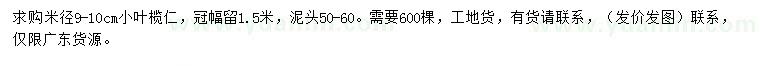 求購米徑9-10公分小葉欖仁