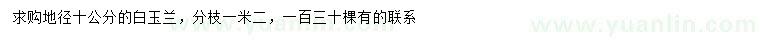 求購(gòu)地徑10公分白玉蘭