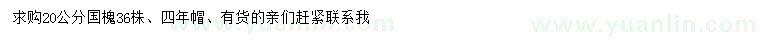 求購20公分國槐