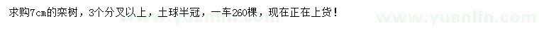 求購7公分欒樹