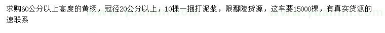 求購高60公分以上黃楊
