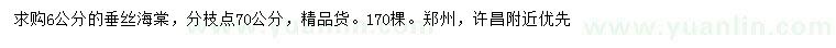 求購6公分垂絲海棠