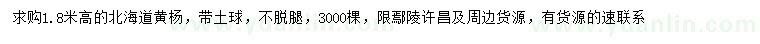 求購(gòu)高1.8米北海道黃楊