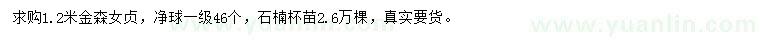 求購1.2米金森女貞
