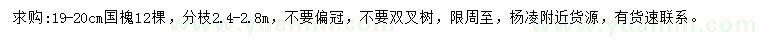 求購19-20公分國槐