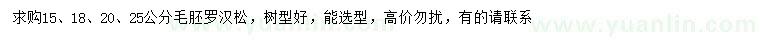 求購(gòu)15、18、20、25公分羅漢松毛胚