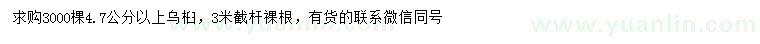 求購4.7公分以上烏桕