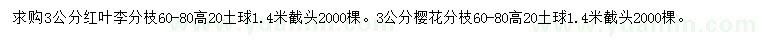 求購(gòu)3公分紅葉李、櫻花