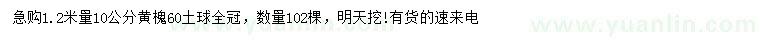 求購1.2米量10公分黃槐