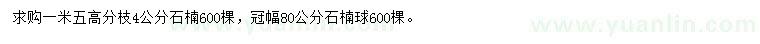 求購(gòu)4公分石楠、冠幅80公分石楠球