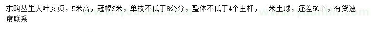 求購(gòu)高5米叢生大葉女貞