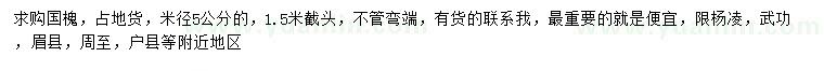 求購米徑5公分國槐