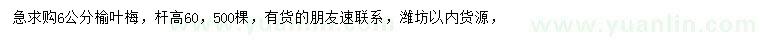 求購6公分榆葉梅