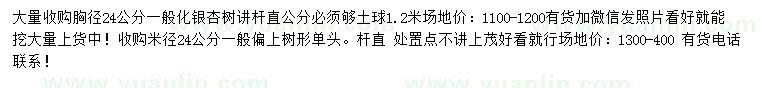 求購(gòu)米徑24公分銀杏