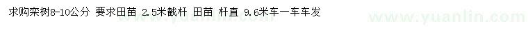求購(gòu)8-10公分欒樹(shù)