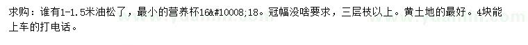 求購1-1.5米油松