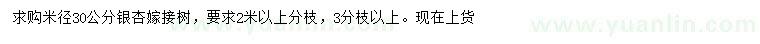 求購米徑30公分銀杏