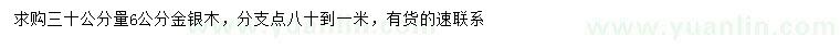 求購(gòu)30公分量6公分金銀木