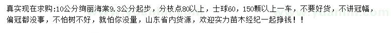 求購(gòu)10公分絢麗海棠