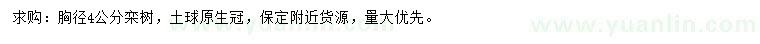 求購胸徑4公分欒樹
