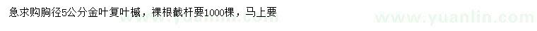 求購胸徑5公分金葉復葉槭