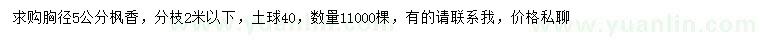求購胸徑5公分楓香