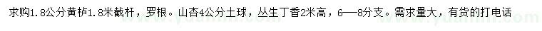 求購(gòu)黃櫨、山杏、叢生丁香