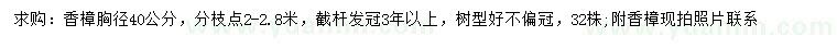 求購胸徑40公分香樟