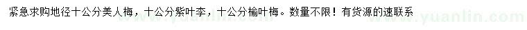 求購(gòu)美人梅、紫葉李、榆葉梅
