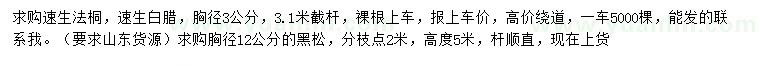 求購速生法桐、速生白臘、黑松