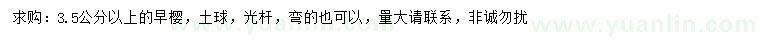 求購3.5公分以上早櫻